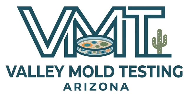Valley Mold Testing