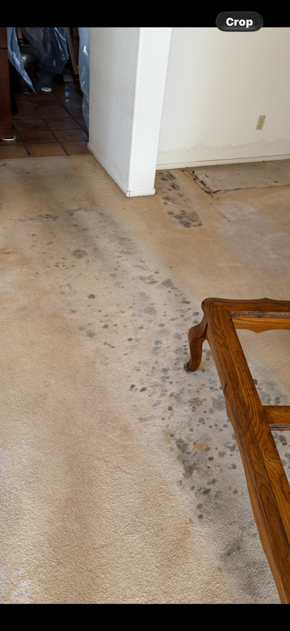 Suspected mold and moisture conditions evaluated during Mold Testing Mesa AZ